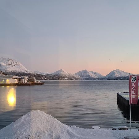 Aurora Harbour House Villa Lodingen Eksteriør bilde