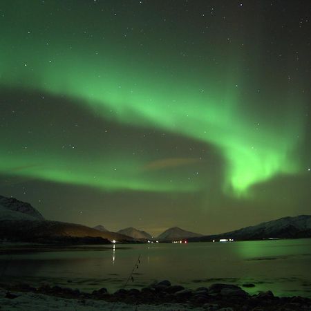 Aurora Harbour House Villa Lodingen Eksteriør bilde