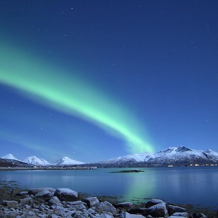 Aurora Harbour House Villa Lodingen Eksteriør bilde