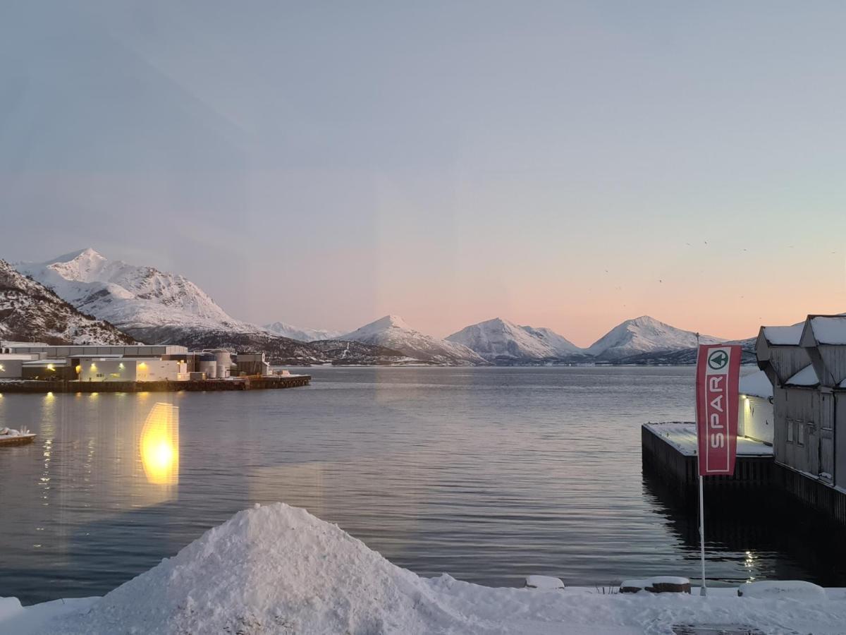 Aurora Harbour House Villa Lodingen Eksteriør bilde