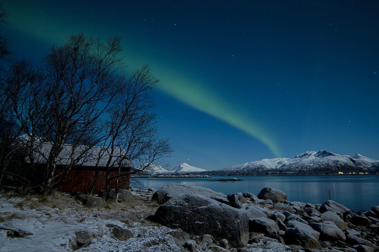 Aurora Harbour House Villa Lodingen Eksteriør bilde