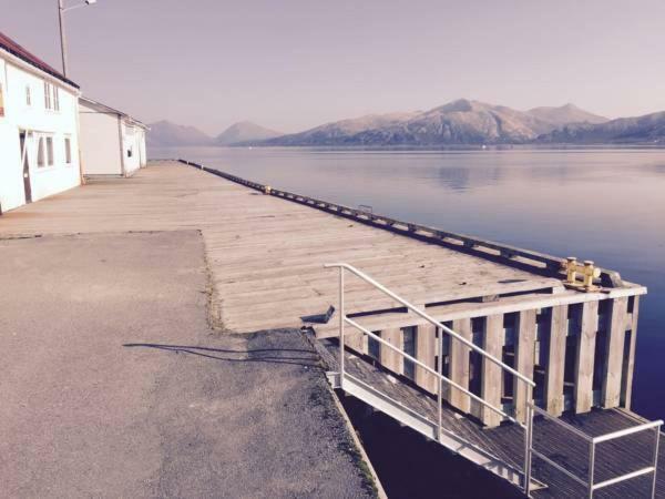 Aurora Harbour House Villa Lodingen Eksteriør bilde
